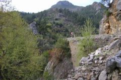 P1010007