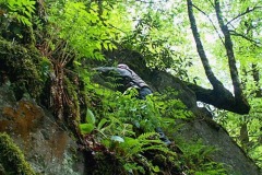 Тропа потеряна