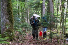 Вперед в Серегин