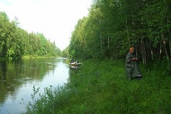 р.Воньга ниже ж/д моста.