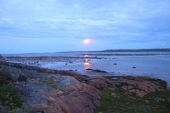 На Белом море.