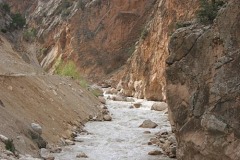 img_9190