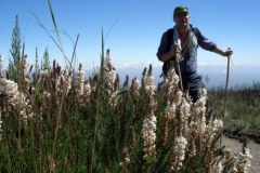 Давай! Толя!