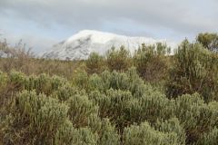 вчера в Африке выпал снег