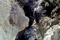 77