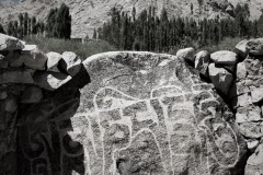 74