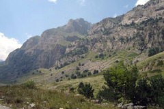 DSC03885