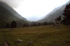 DSC03887