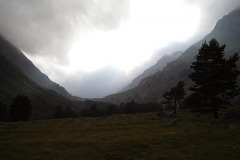 DSC03888