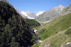 DSC03890