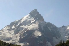DSC03919