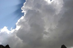 P9010141
