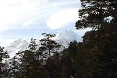 DSC05758
