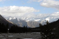 DSC05815