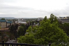 DSC05842