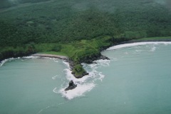 006