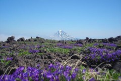 вулкан Вилючинский 2173м.