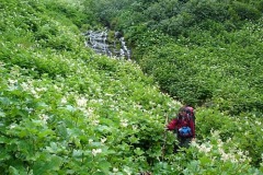 путь по р.Опала