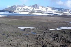 соп. Двугорбая 1503м.