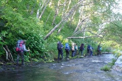 идем по С.Опале
