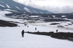 идем от дороги