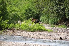 миха на р.Вилюча