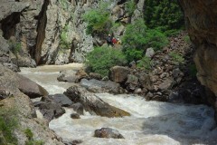 Два брата (осмотр)