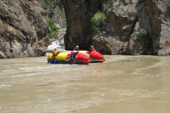 Цитадель (выход 1 эк.)