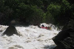 Зубная щетка (середина 2эк)