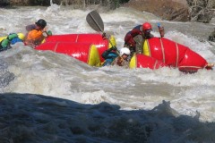 Зубная щетка (середина 2эк)