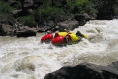 Зубная щетка (середина 1эк)