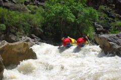 Зубная щетка (середина 1эк)