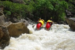 Зубная щетка (середина 1эк)