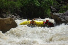 Зубная щетка (середина 1эк)