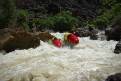 Зубная щетка (середина 1эк)