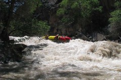 Броненосец 1 (1эк)