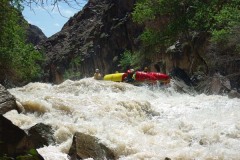 Броненосец 1 (1эк)