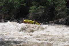 Броненосец 1 (1эк)