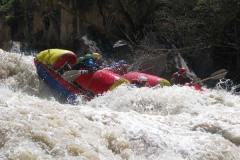 Броненосец 1 (2эк)