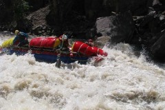 Броненосец 1 (2эк)