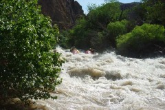 Броненосец 1 (2эк)