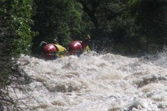 Броненосец 1 (2эк)