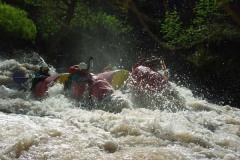 Броненосец 1 (2эк)