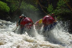 Броненосец 1 (2эк)