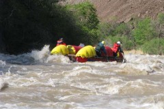 Броненосец 1 (2эк)