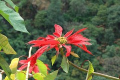 cimg0249