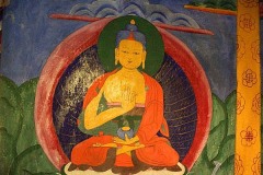 cimg0322