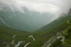 Дорога троллей