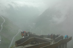 Дорога троллей