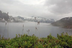 Тундра, по пути на р. Отта